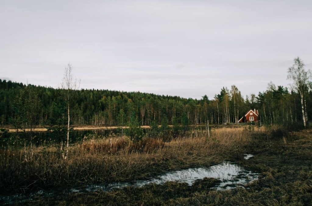 Enslig stuga i skogen.